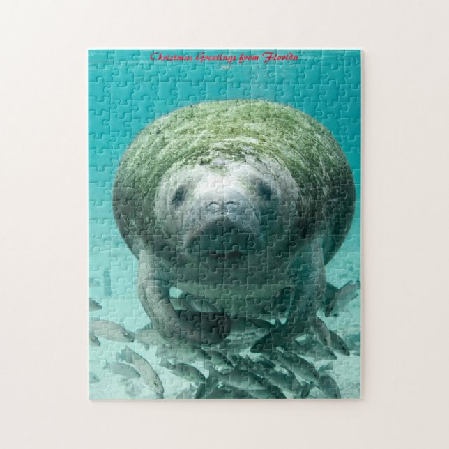 Manatee Florida. Julhälsningar Pussel (Vertikal)