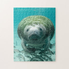 Manatee Florida. Pussel