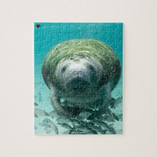 Manatee Florida Pussel