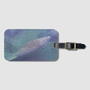Manatee Florida Swimming Photo Cute Bagagebricka