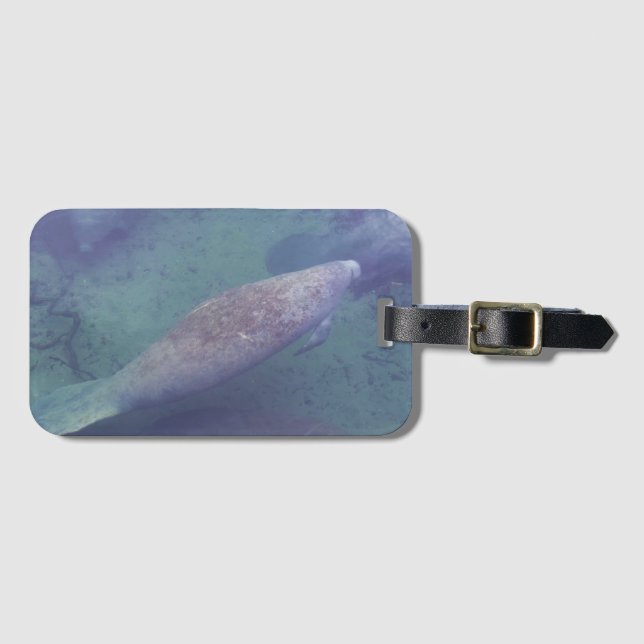 Manatee Florida Swimming Photo Cute Bagagebricka (Framsida horisontal)