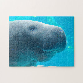 Manatee i Florida Pussel