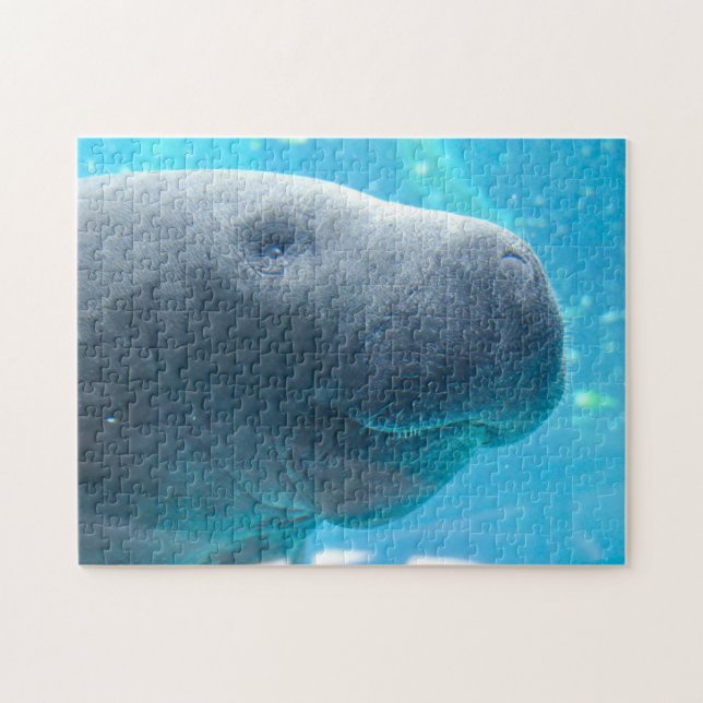 Manatee i Florida Pussel (Horisontell)