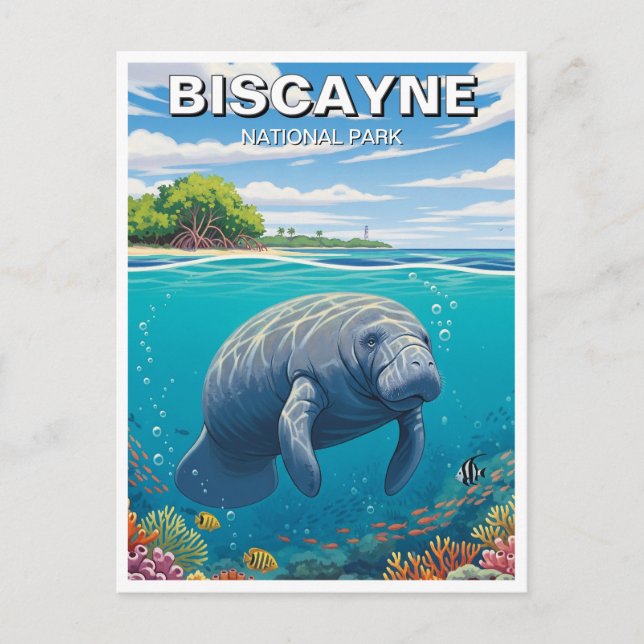 Manatee in Biscayne nationalpark Vykort (Framsida)