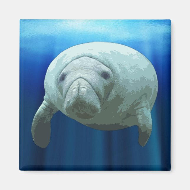 Manatee Magnet (Framsidan)
