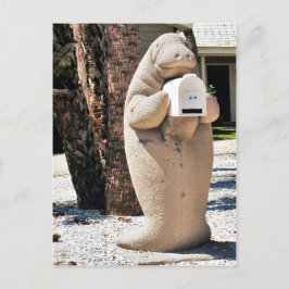 Manatee Mailbox i Florida Photo Vykort