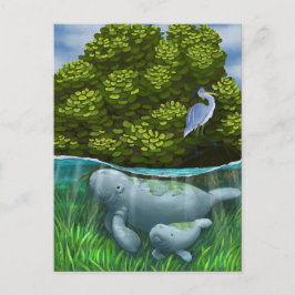 Manatee Mamma och Calf Vykort