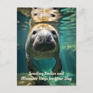 Manatee Marvel: Anpassade Manatee Helg Vykort