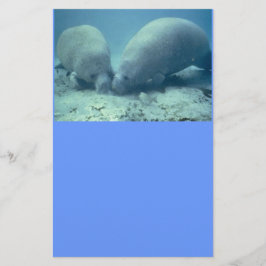 Manatee Moments Stationery Brevpapper