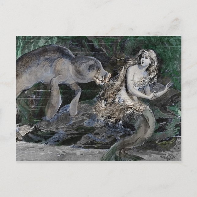 Manatee möter en Sjöjungfru Helg Vykort (Framsida)