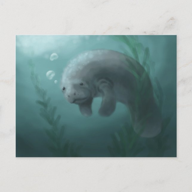 Manatee Postcard Vykort (Framsida)