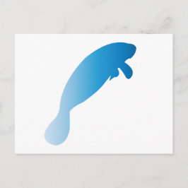 Manatee Postcard Vykort