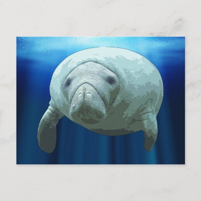 Manatee Postcards Vykort (Framsida)