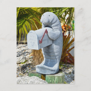 Manatee-postlåda Vykort