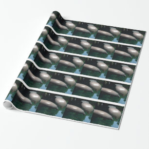 Manatee Presentpapper