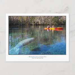 Manatee-räknare Vykort