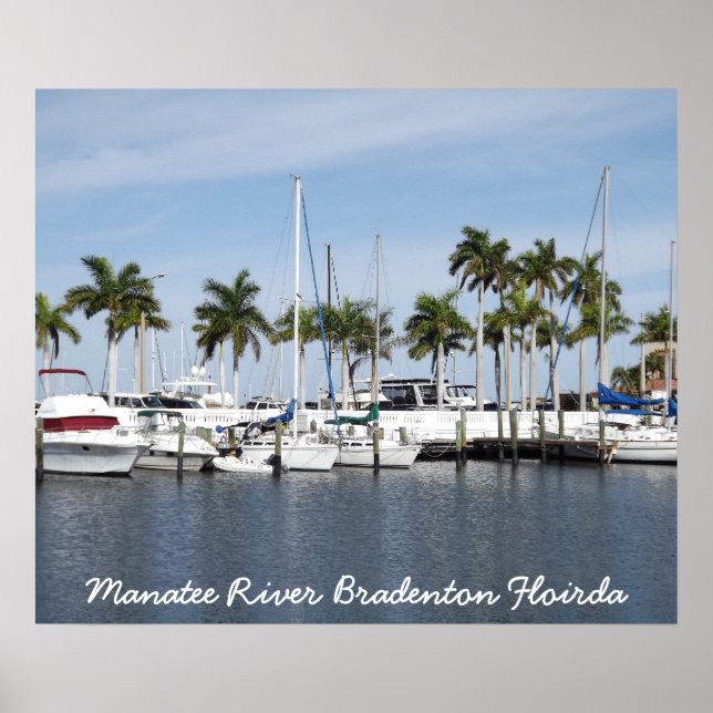 Manatee River Bradenton FL Poster (Framsidan)