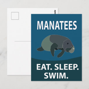 Manatee Sea Cow Animal Manatee Vykort