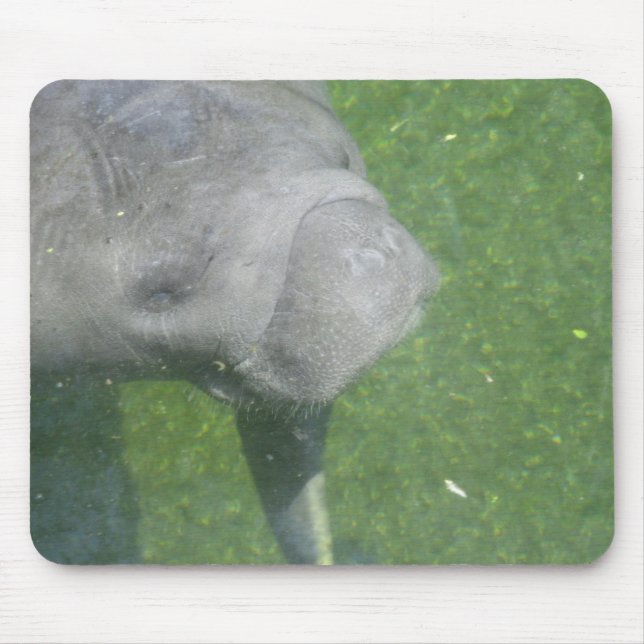 Manatee Smiles mousepad Musmatta (Framsidan)