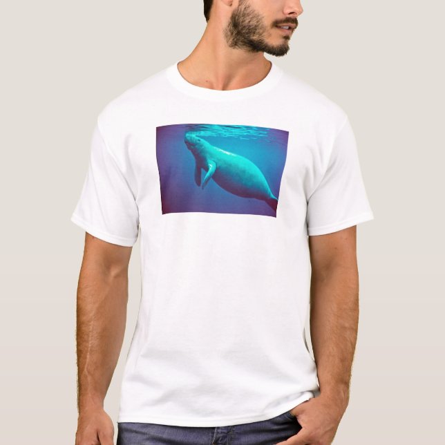 Manatee som ytbehandlar för att andas tee (Framsida)