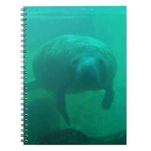 Manatee Spiral Photo Notebook Anteckningsbok Med Spiral