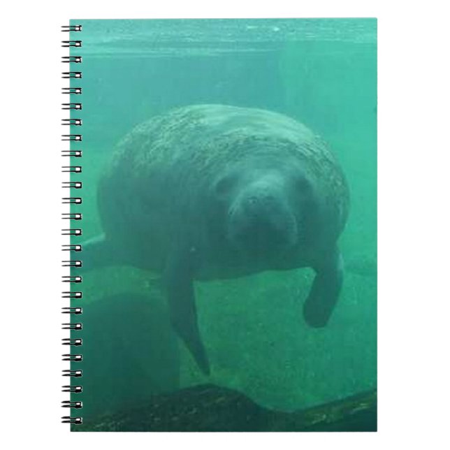 Manatee Spiral Photo Notebook Anteckningsbok Med Spiral (Framsidan)