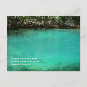 Manatee Springs vykort