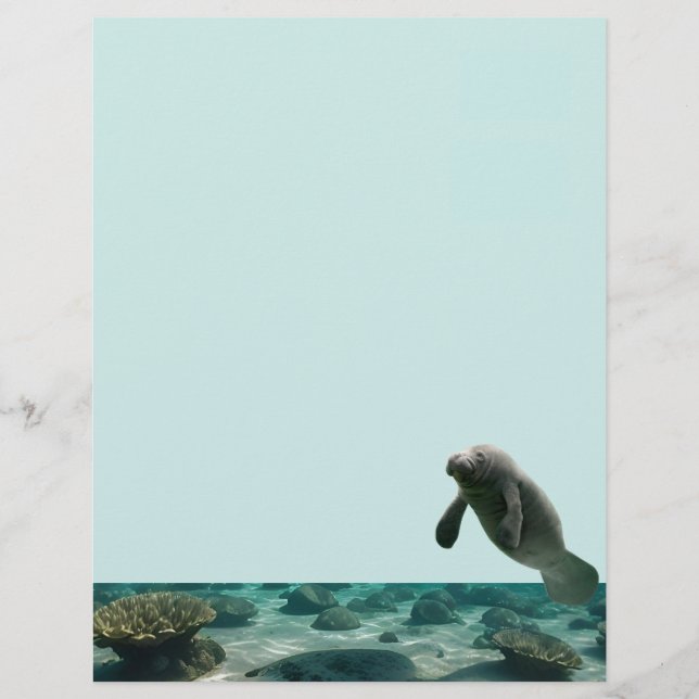 Manatee Stationary (Framsida)
