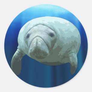 Manatee Sticker Runt Klistermärke