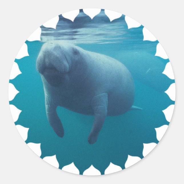 Manatee Stickers Runt Klistermärke (Framsida)