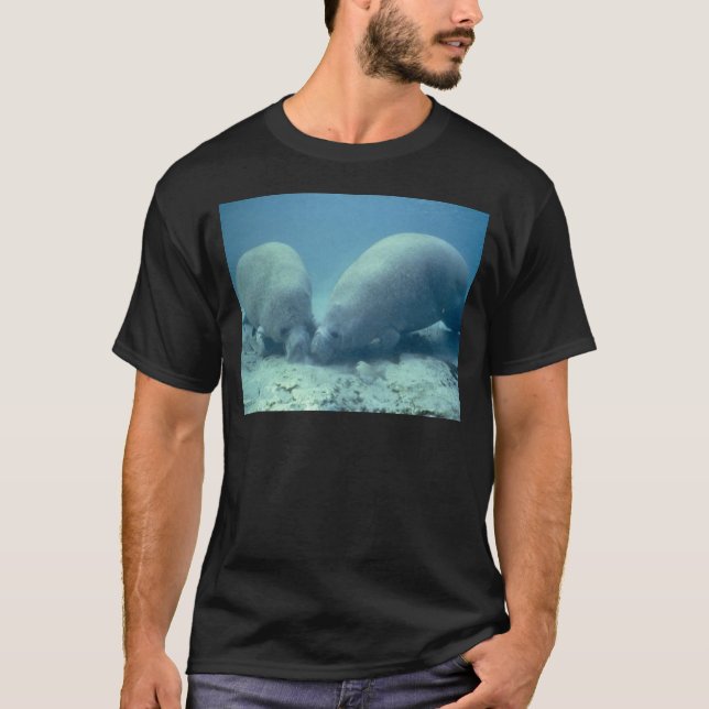 Manatee Tröja (Framsida)