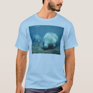 Manatee Tröja