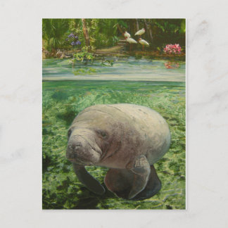 MANATEE VYKORT