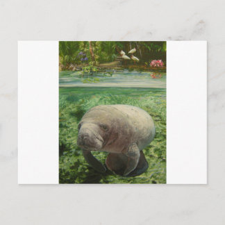 MANATEE VYKORT