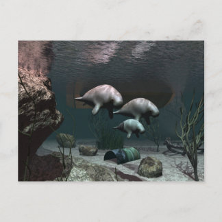 Manatee-vykort Vykort