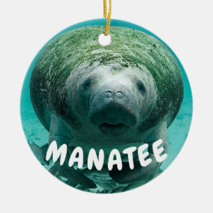 Manateeansiktefoto Julgransprydnad Keramik