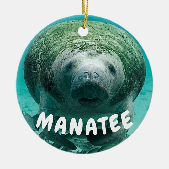 Manateeansiktefoto Julgransprydnad Keramik (Framsidan)