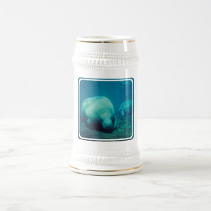 Manateefotoöl Stein Sejdel