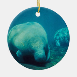 Manateefotoprydnad Julgransprydnad Keramik
