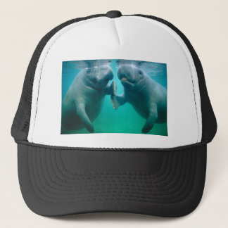 manateehat truckerkeps