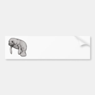 manateekonst bildekal