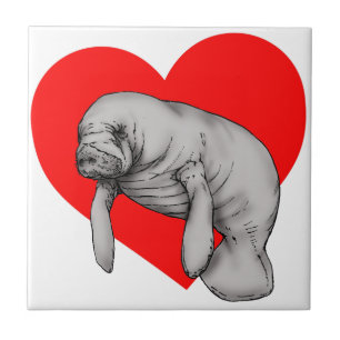 manateekonst kakelplatta
