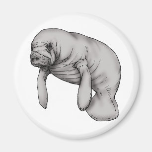 manateekonst magnet
