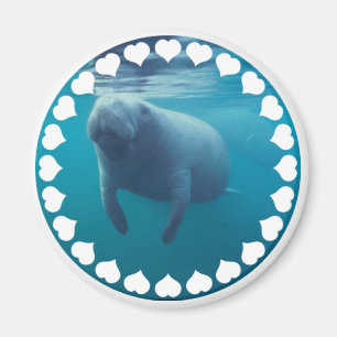 Manateemagnet Magnet