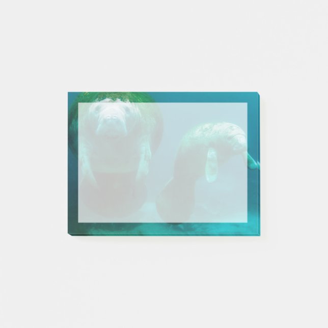 Manateemamma med sin kalv i Crystal River Post-it Block (Framsida)