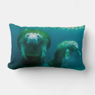 Manateemoder med sin kalv i Crystal River Lumbarkudde