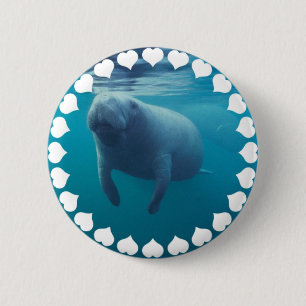 Manateerundan knäppas knapp