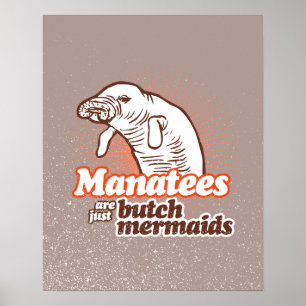 MANATEES ÄR PRECIS SNAGGNINGSJÖJUNGFRUAR - .PNG POSTER
