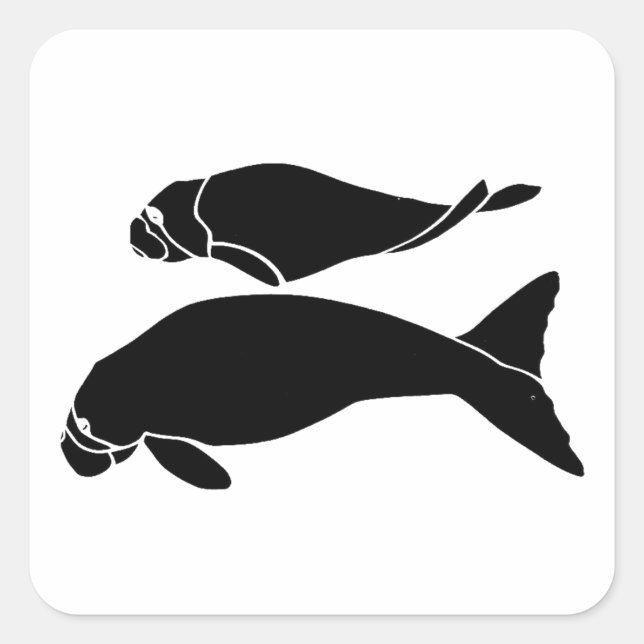 Manatees Fyrkantigt Klistermärke (Framsida)