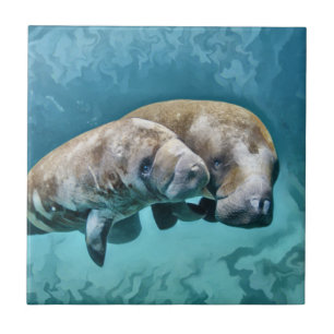 Manatees Kakelplatta